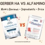 Gerber Extensive HA vs Alfamino